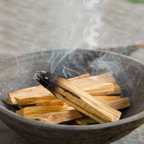 50g Palo Santo / Bois Sacré (5 à 8 pièces)